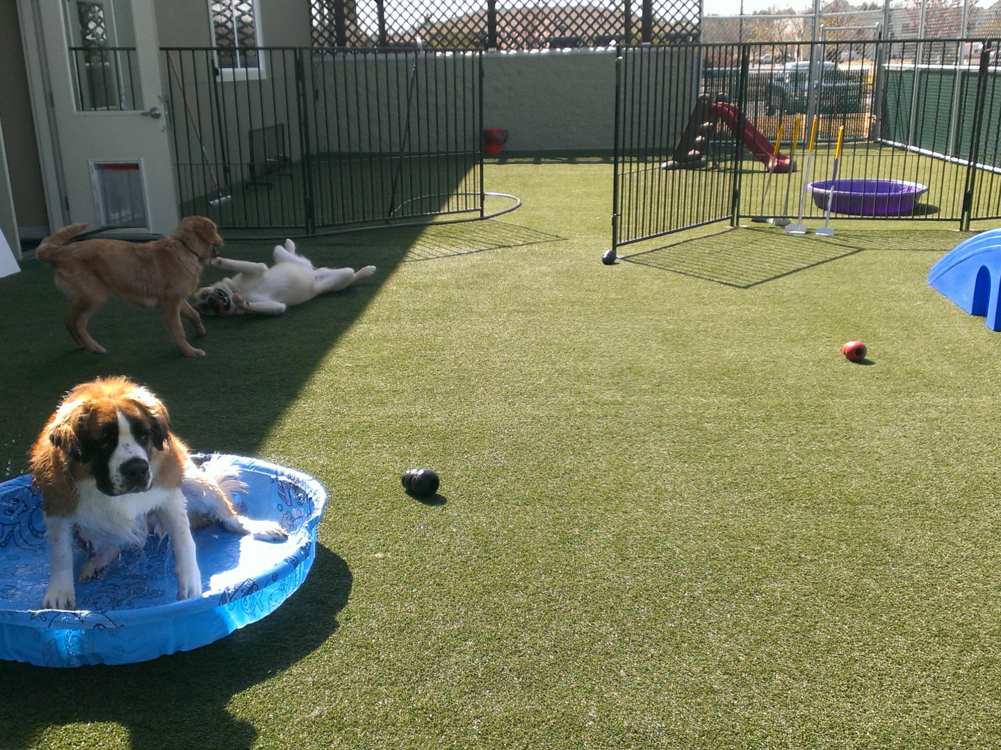 Gallery Boise, ID Emerald Street Kennels