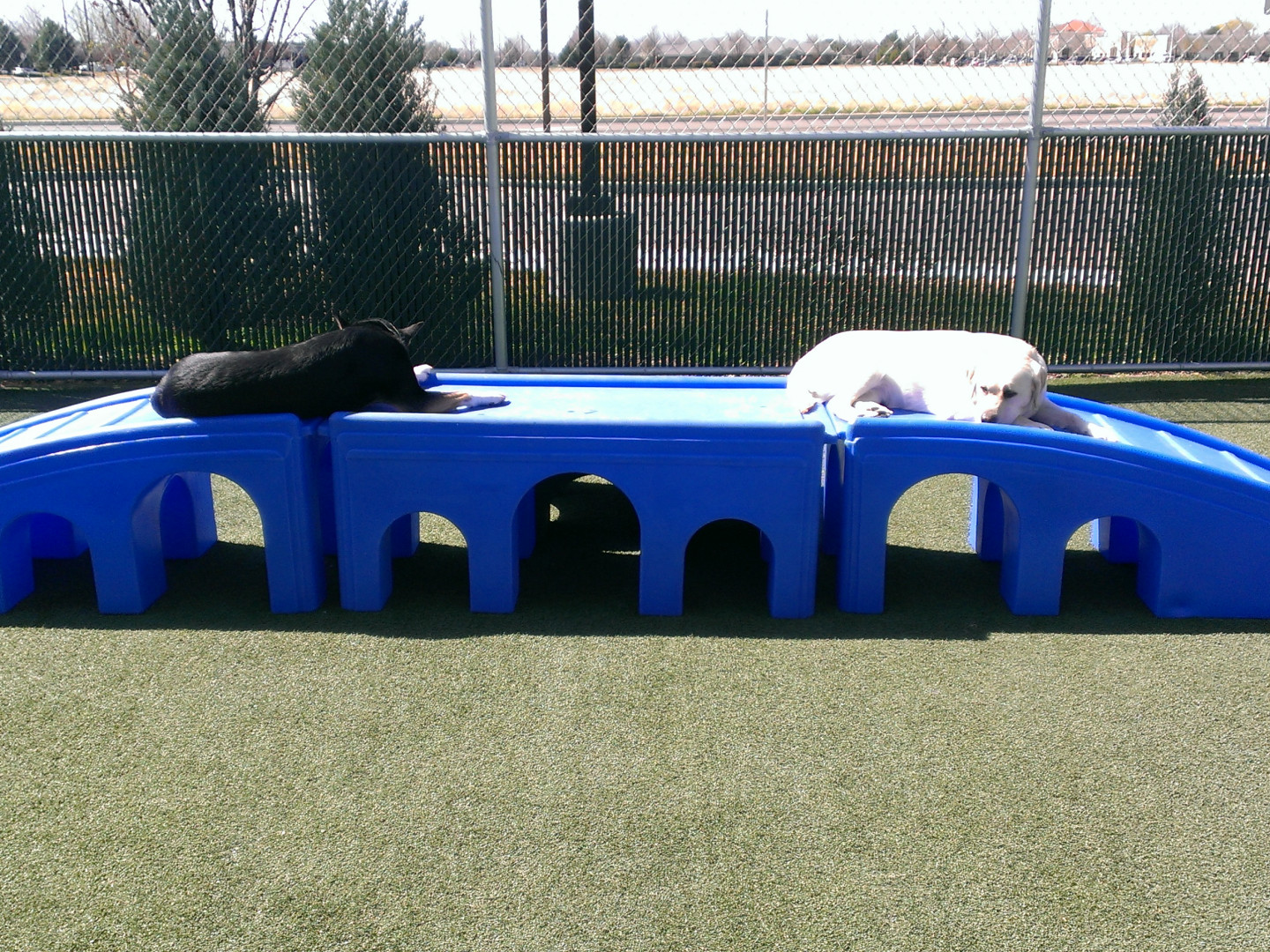 Gallery Boise, ID Emerald Street Kennels