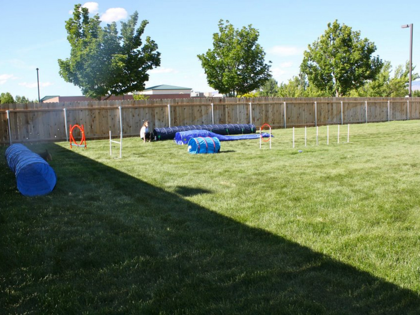 Gallery Boise, ID Emerald Street Kennels