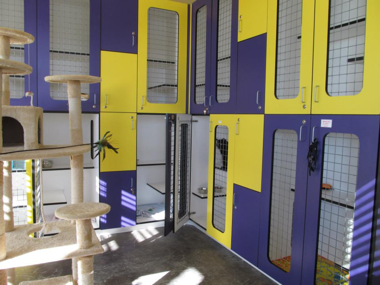 Gallery Boise, ID Emerald Street Kennels